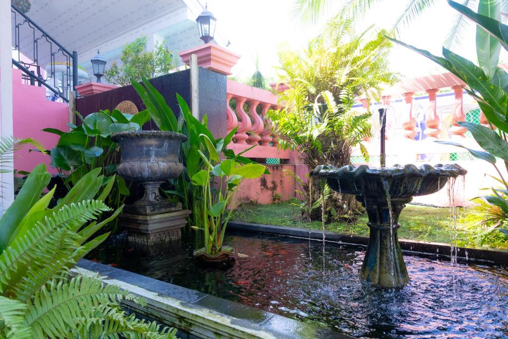 Rasa Boutique Hotel koi garden